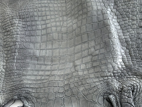 Crocodile Leather Gray | exotic leathers by ray
