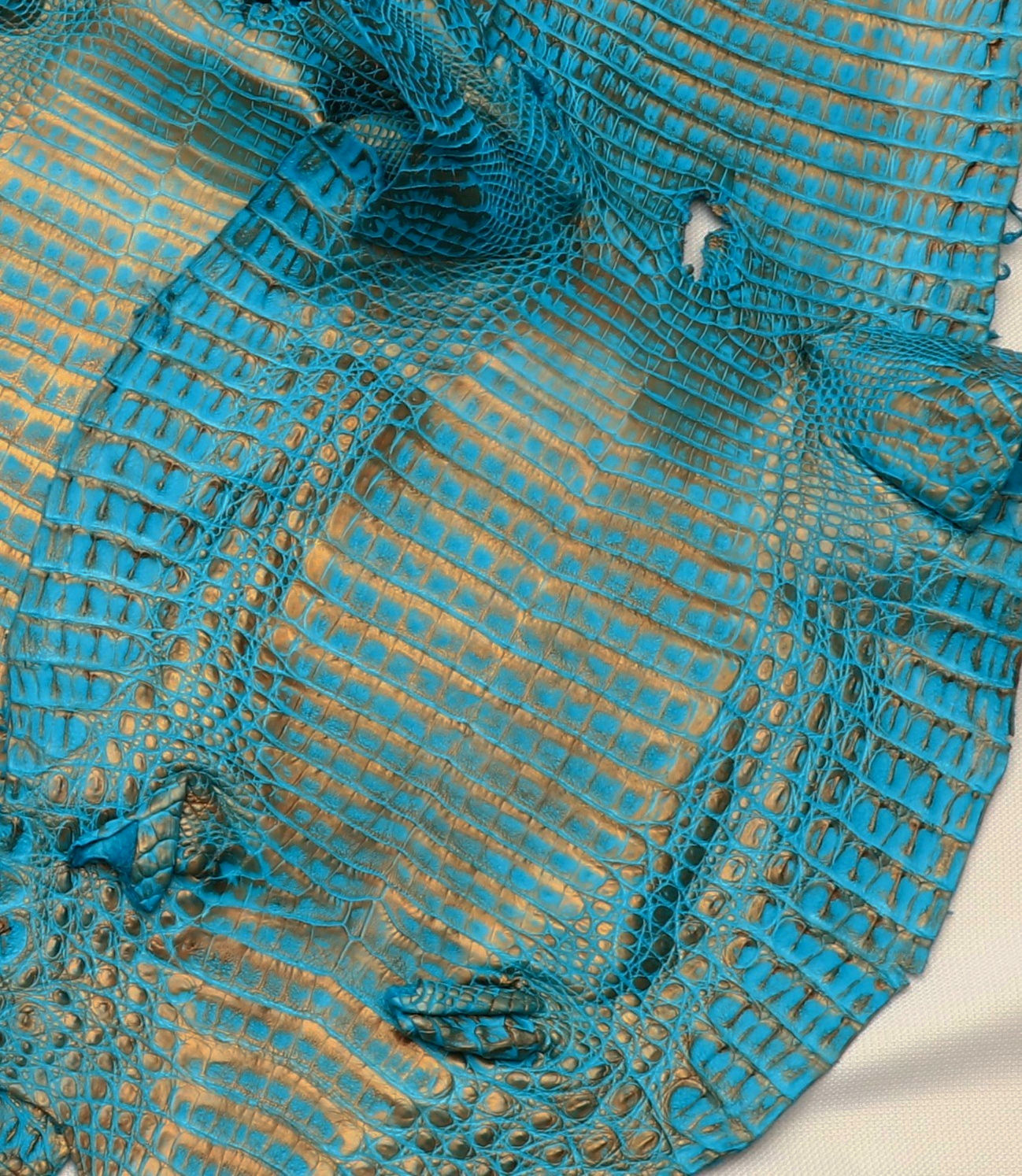 Caiman Skin Leather Turquoise/Bronz Color (100% Genuine skin)