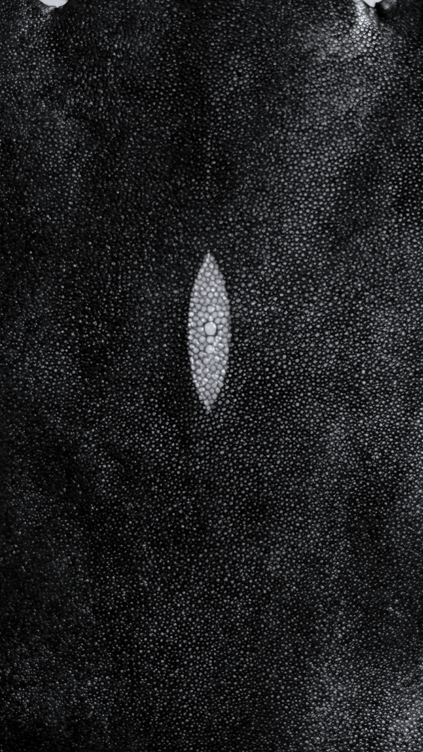 Stingray Skin Black Color