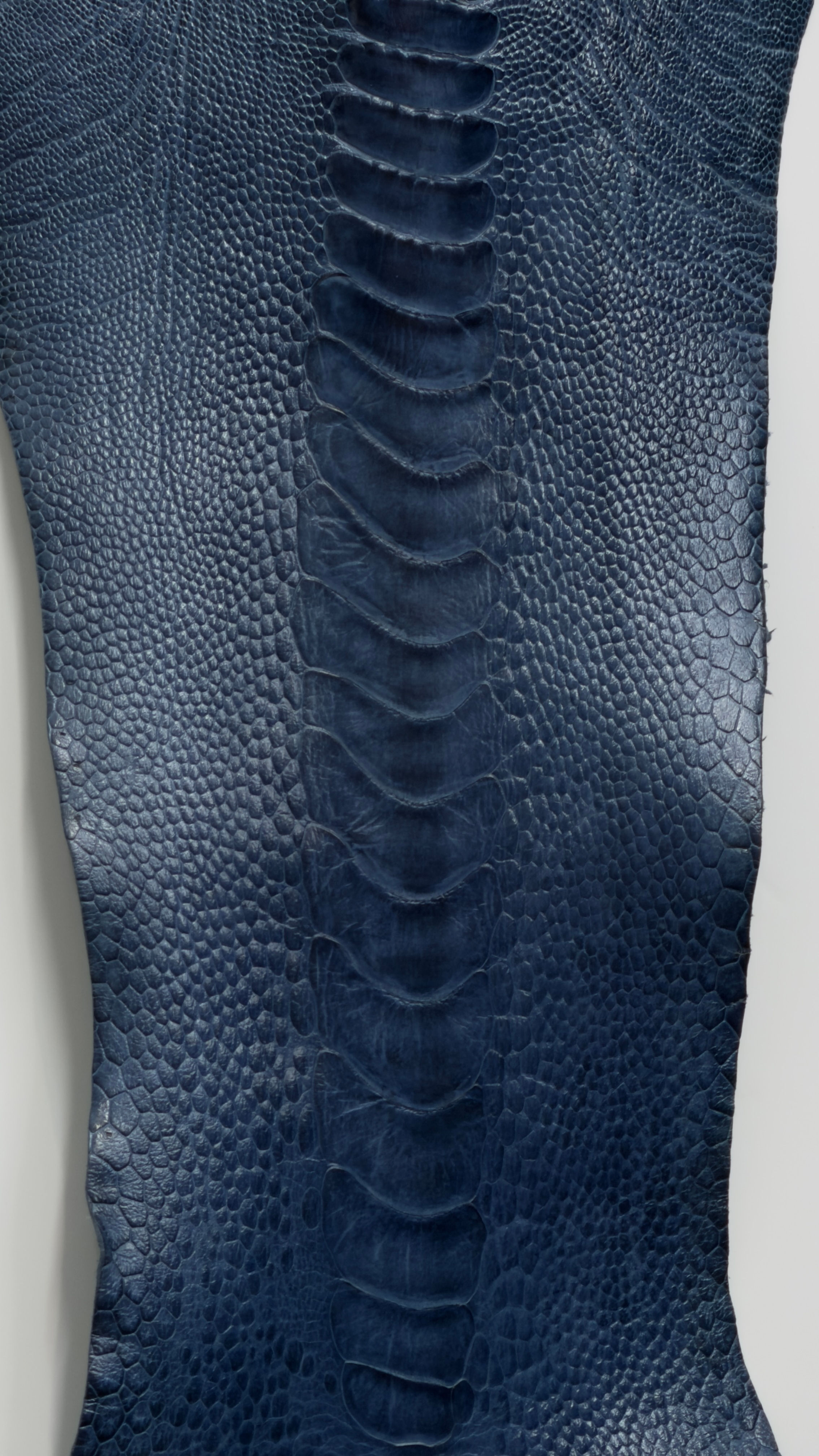 Ostrich Skin Legs Leather in American Blue Jean with Glaze finished