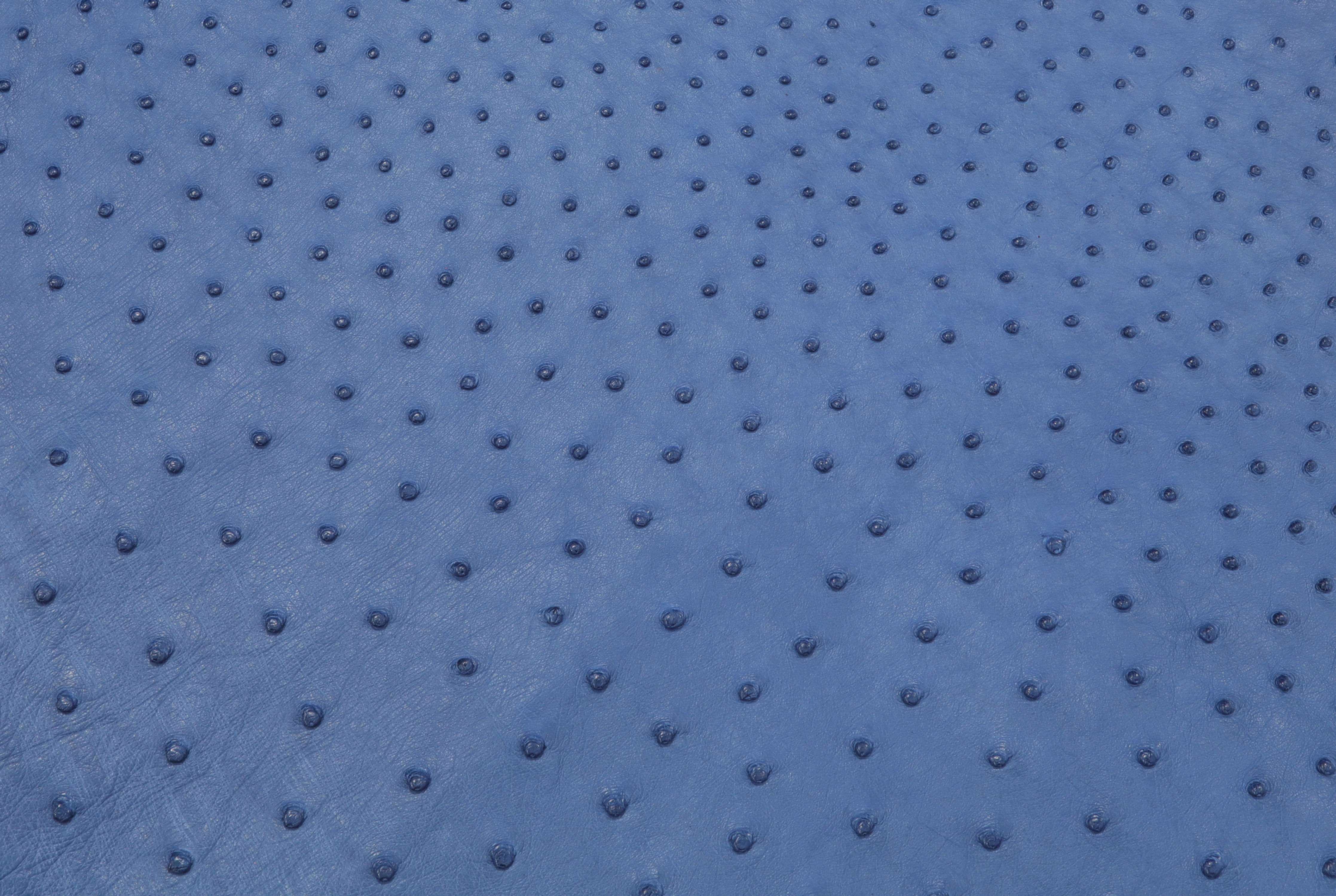 Ostrich Leather skin Clemaris Color SF