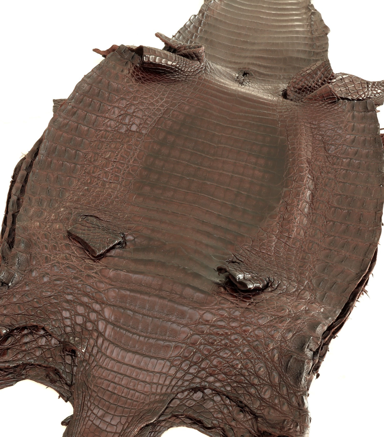 Caiman Skin Leather Brown Color