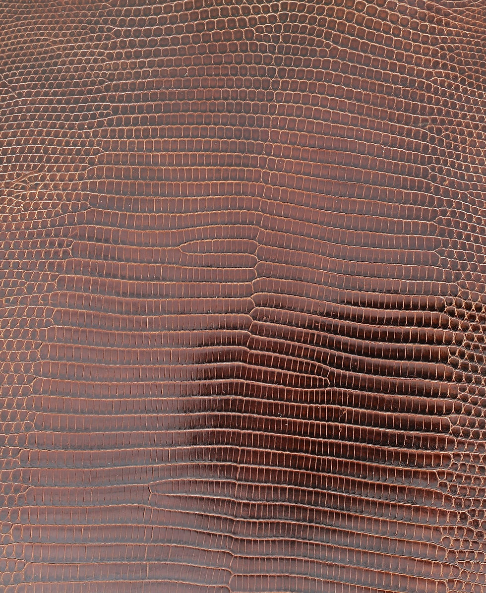 Lizard Skin Leather Dark Brown Color Glazed