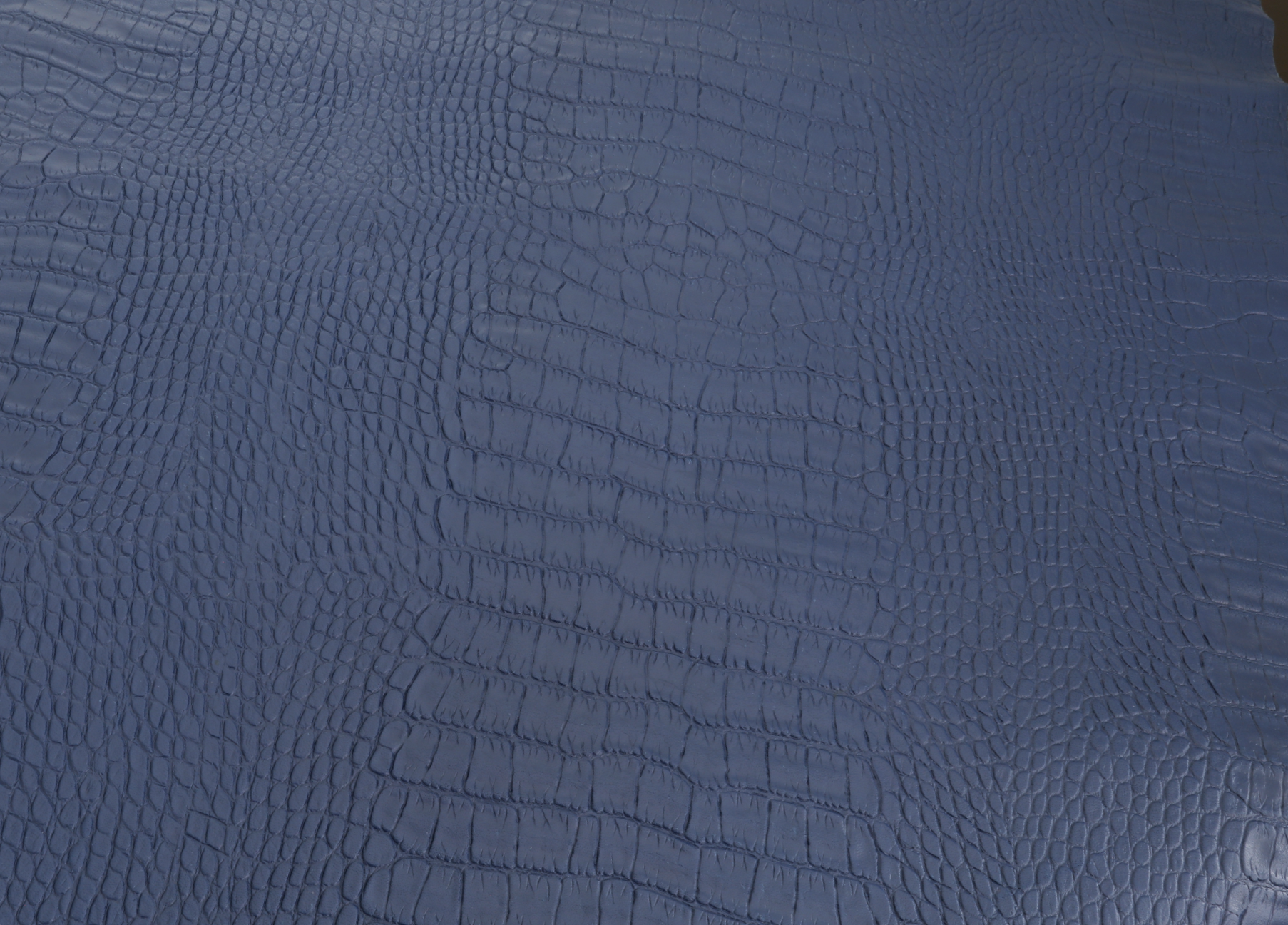 Crocodile Embossed Navy Blue Color