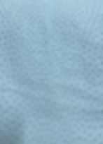 Thumbnail: Ostrich Leather Hide Sky Blue Color SF