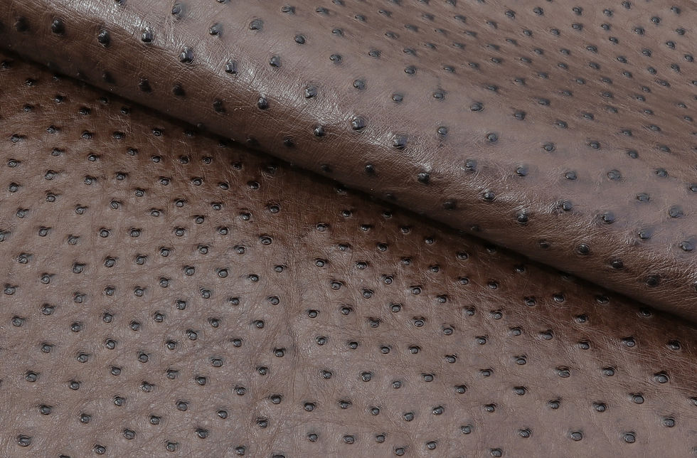 Miniatura: Ostrich Leather Skin Kango Tabac MD