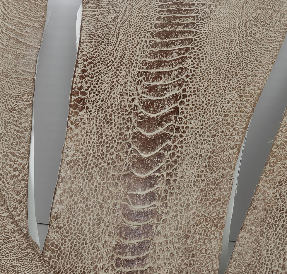 Ostrich Legs Skin Leather Dark Asclepias