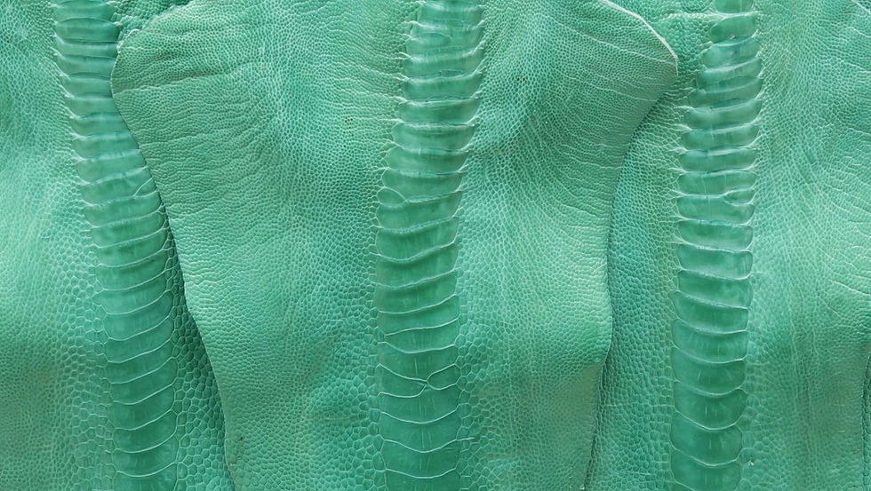 Ostrich Legs Skin Leather in candy Green Color with Glaze finish