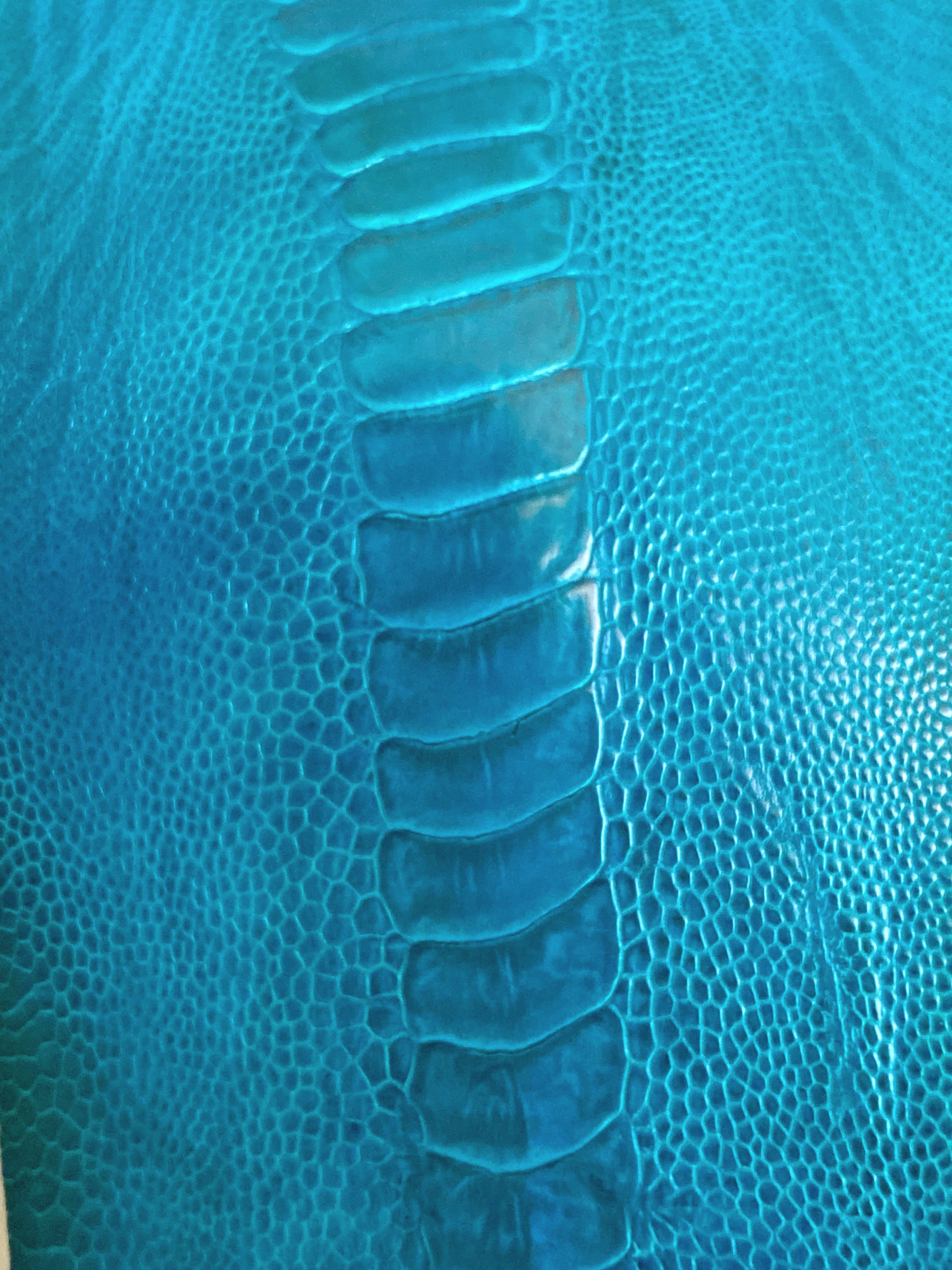 Ostrich Legs Skin Leather Turchese Blue Color Glazed