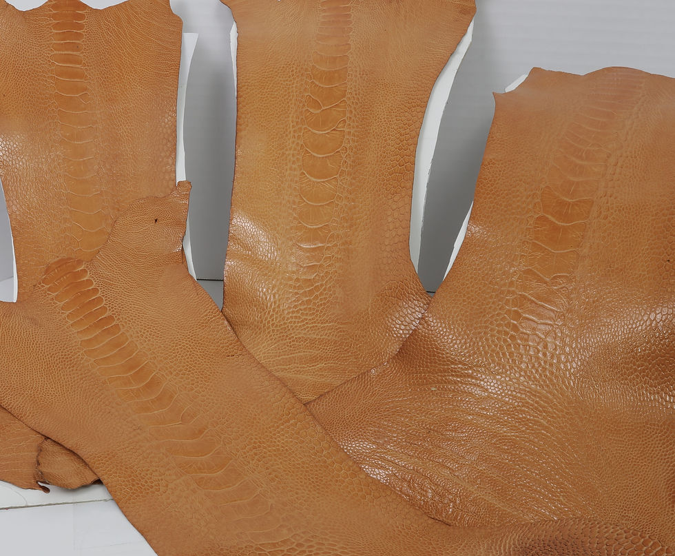 Ostrich Skin Legs Leather Buttercup Glazed