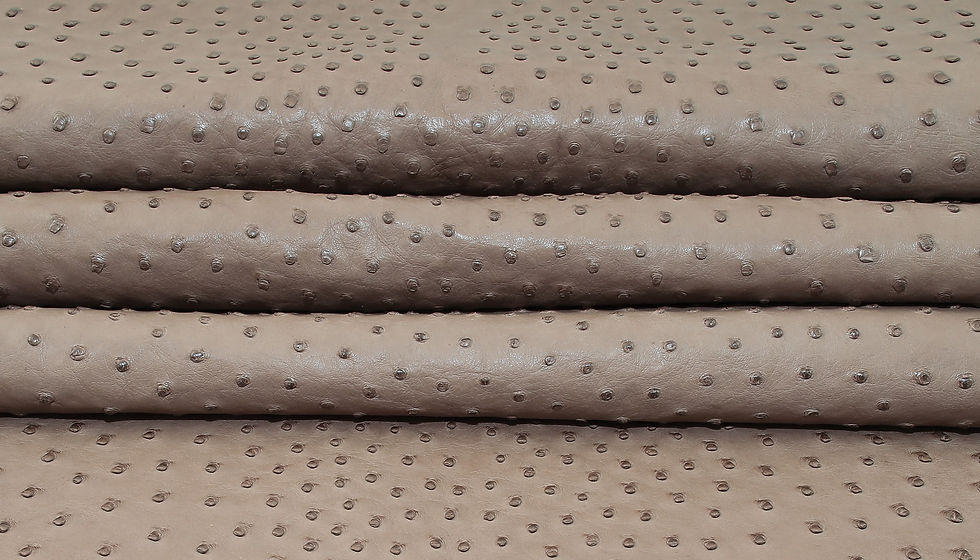 Thumbnail: Ostrich Leather skin Mink Color CF