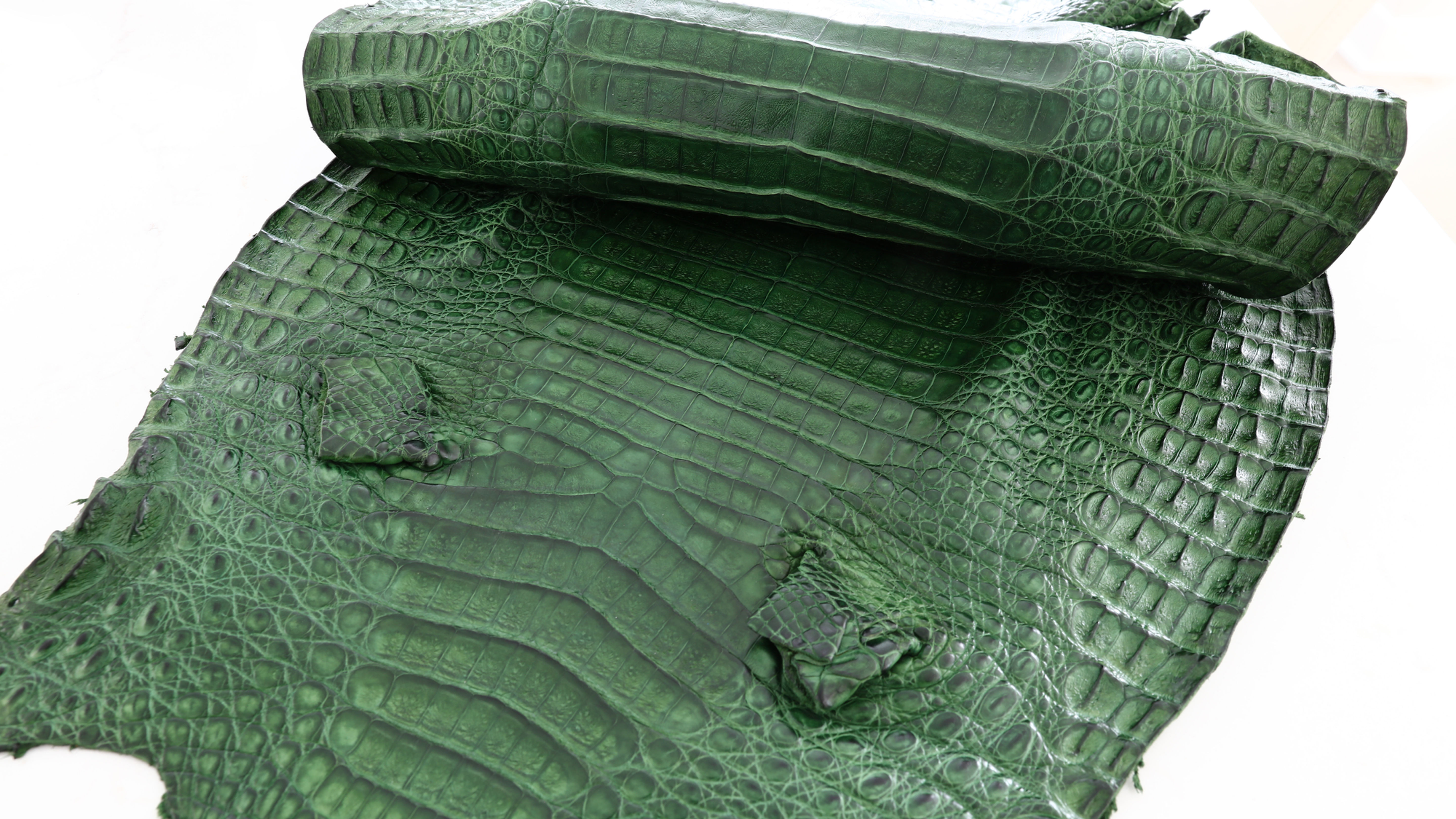 Caiman Skin Leather Kentucky Green