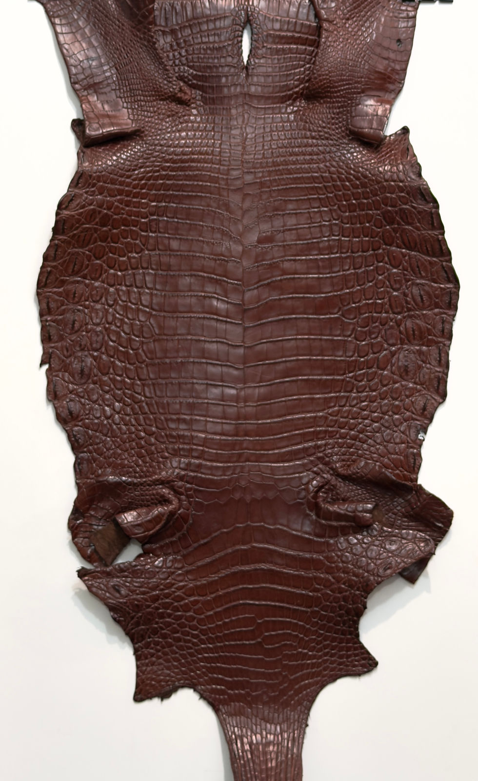 Thumbnail: Crocodile skin Leather in Cognac matte Color