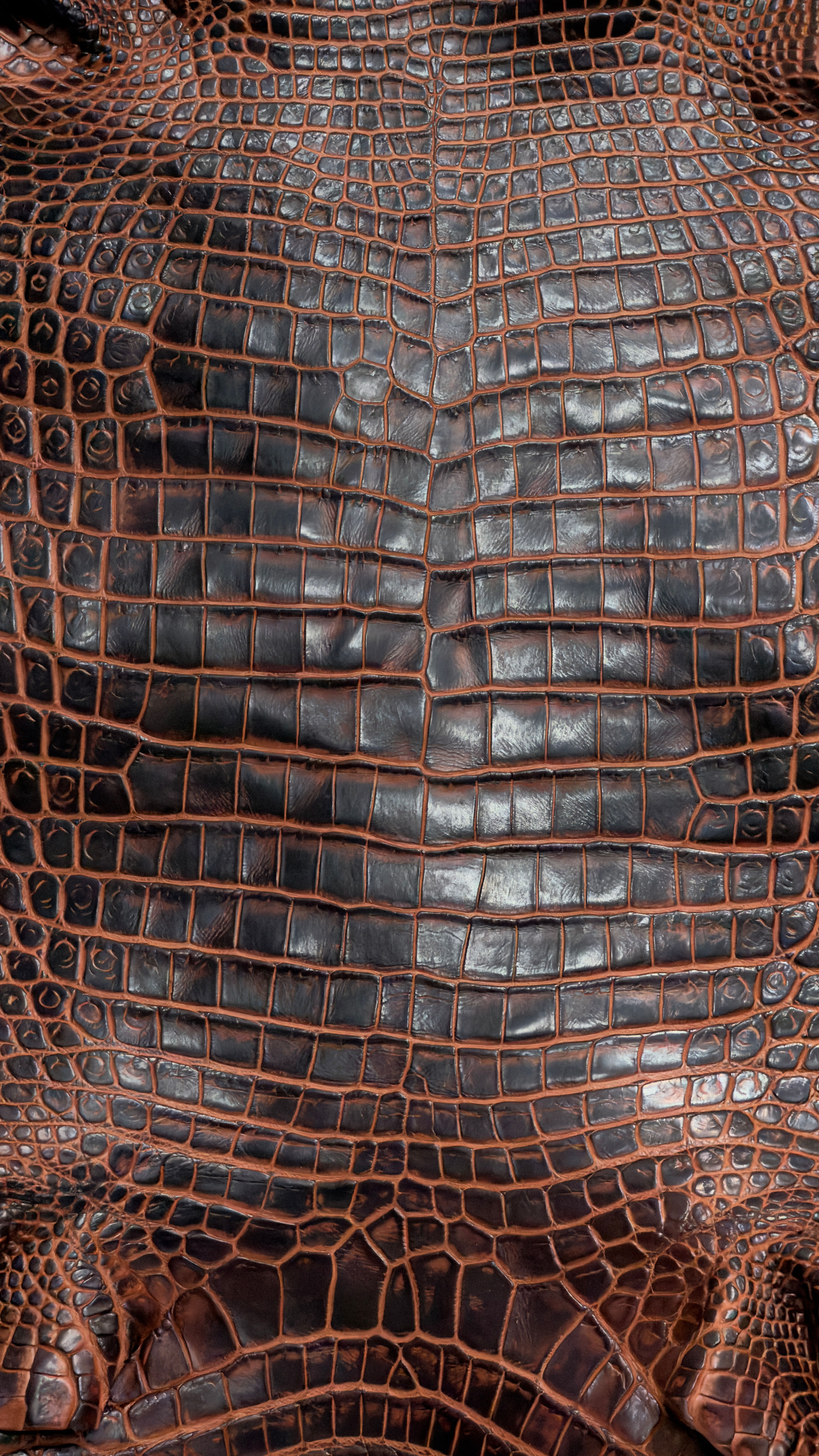 Crocodile Leather liver/Chestnut two tone color