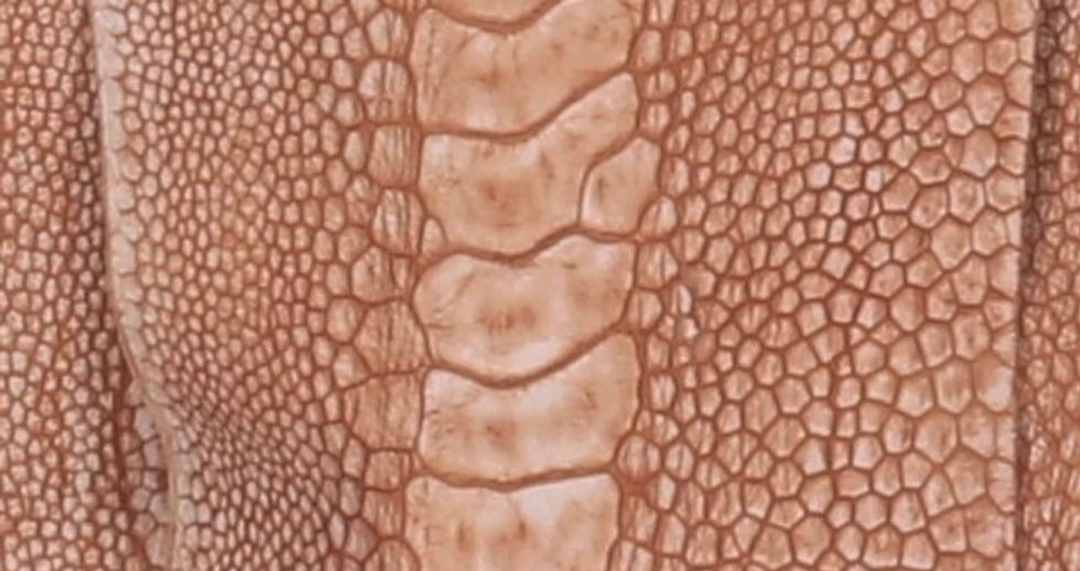 Ostrich Legs Skin Leather Brandy Color (SW)