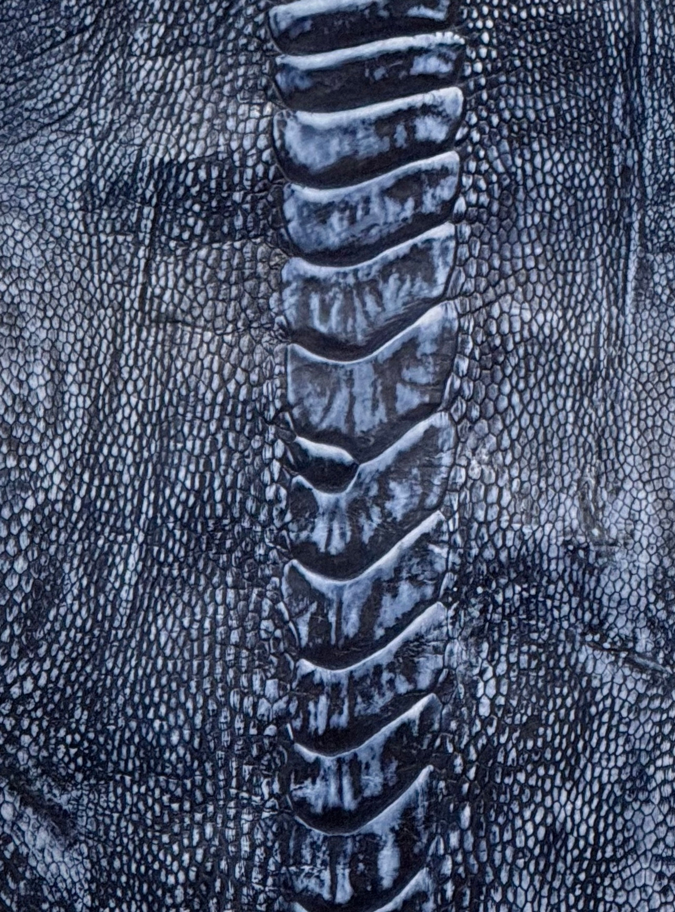 Ostrich Legs Skin Leather in Hidrangen Color Stone Washed finish