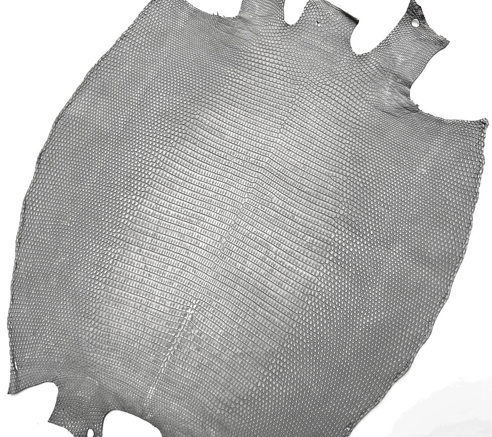 Miniatura: Lizard Skin Leather Rustic Lighty Gray Color Matte Finished