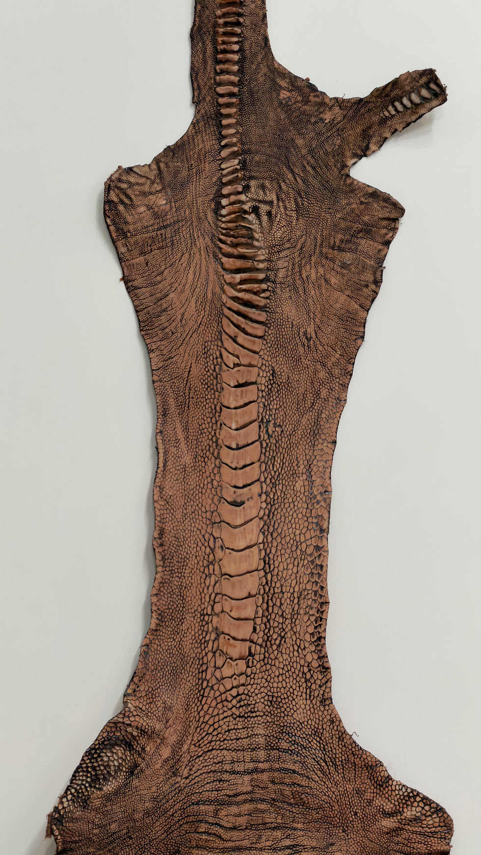 Thumbnail: Ostrich Skin Legs Leather Vintage Yellow Tea (stonewashed)