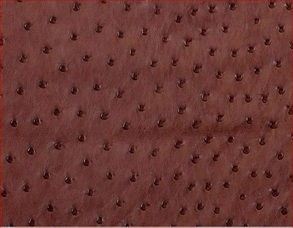 Ostrich Leather Hide Almond Color MD