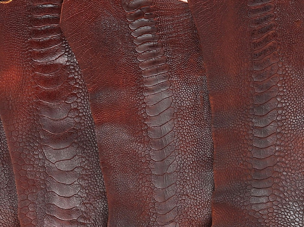 Thumbnail: Ostrich Skin Legs Leather, Vintage Orange matte finish