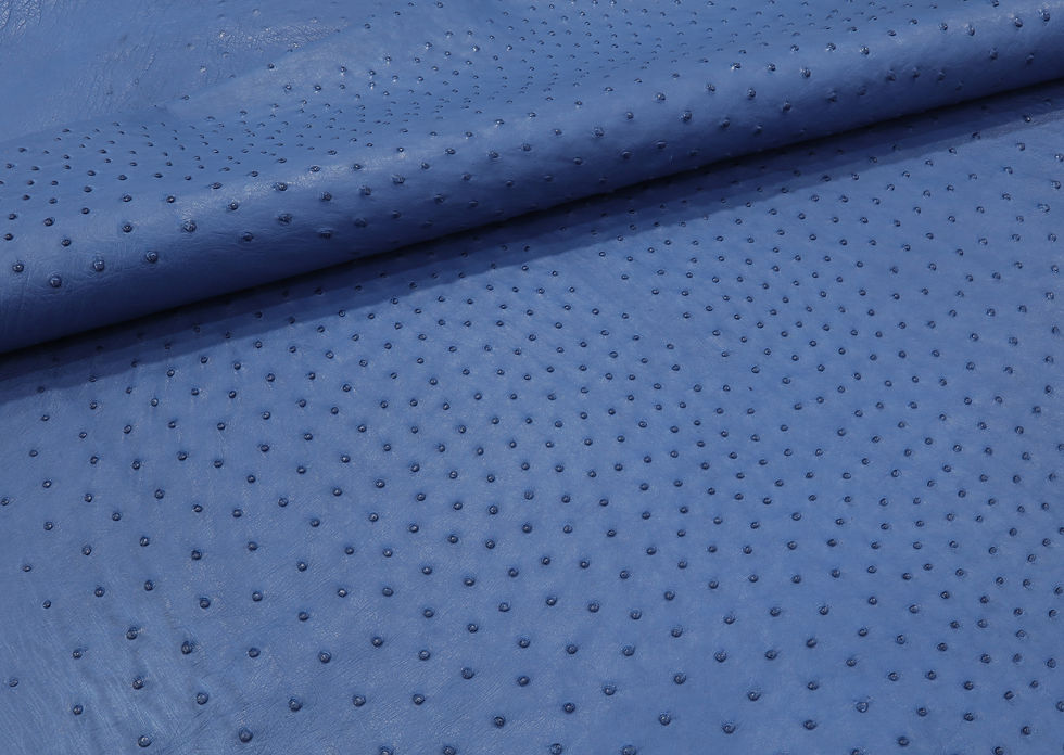 Miniatura: Ostrich Leather skin Clemaris Color SF