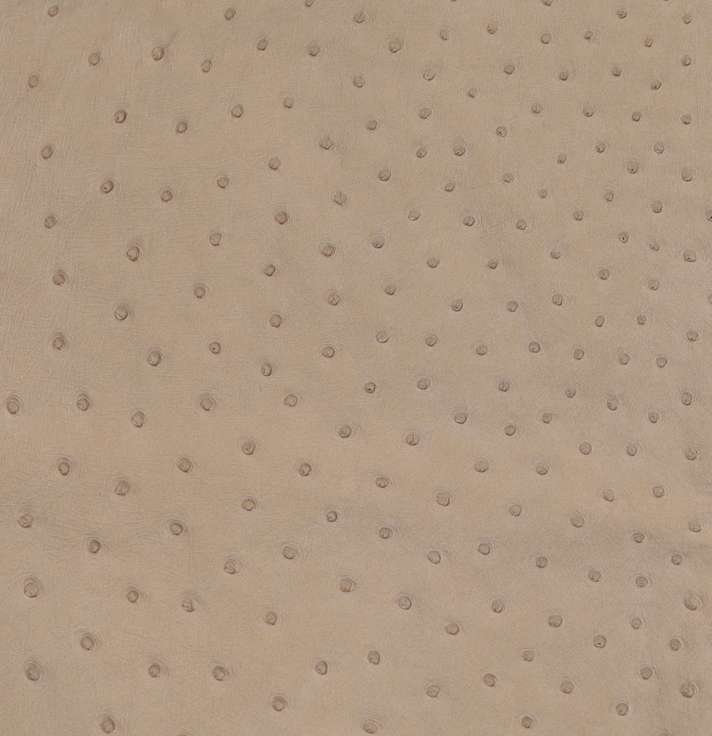 Ostrich Leather skin Oryx Color SF
