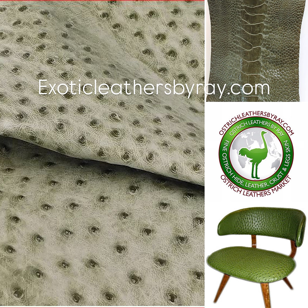 Close-up of ostrich leather texture