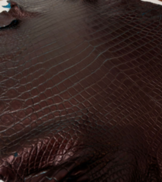 Crocodile Leather Bronze and Turquoise two tone Color 