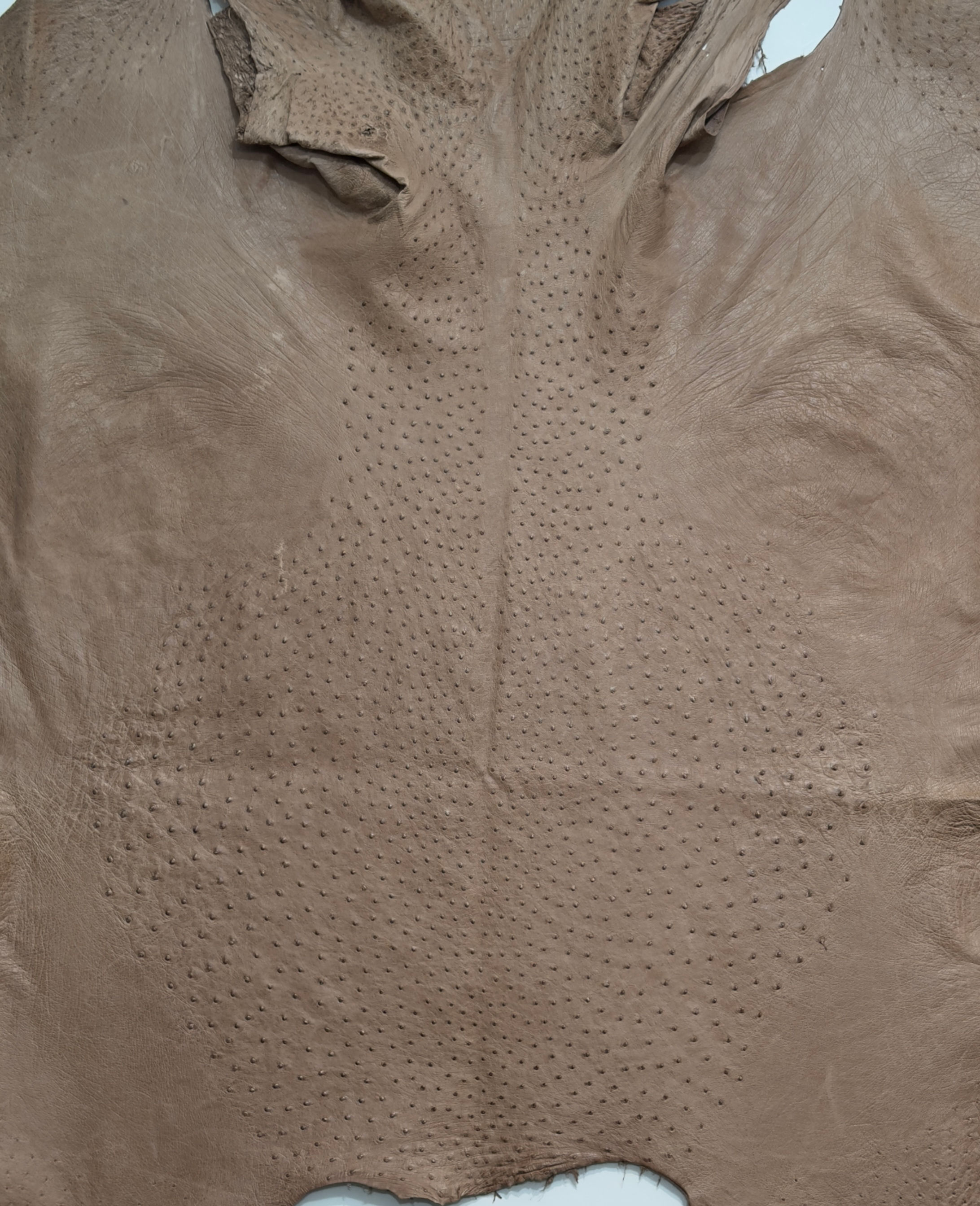 Ostrich Leather skin Mink Color MD