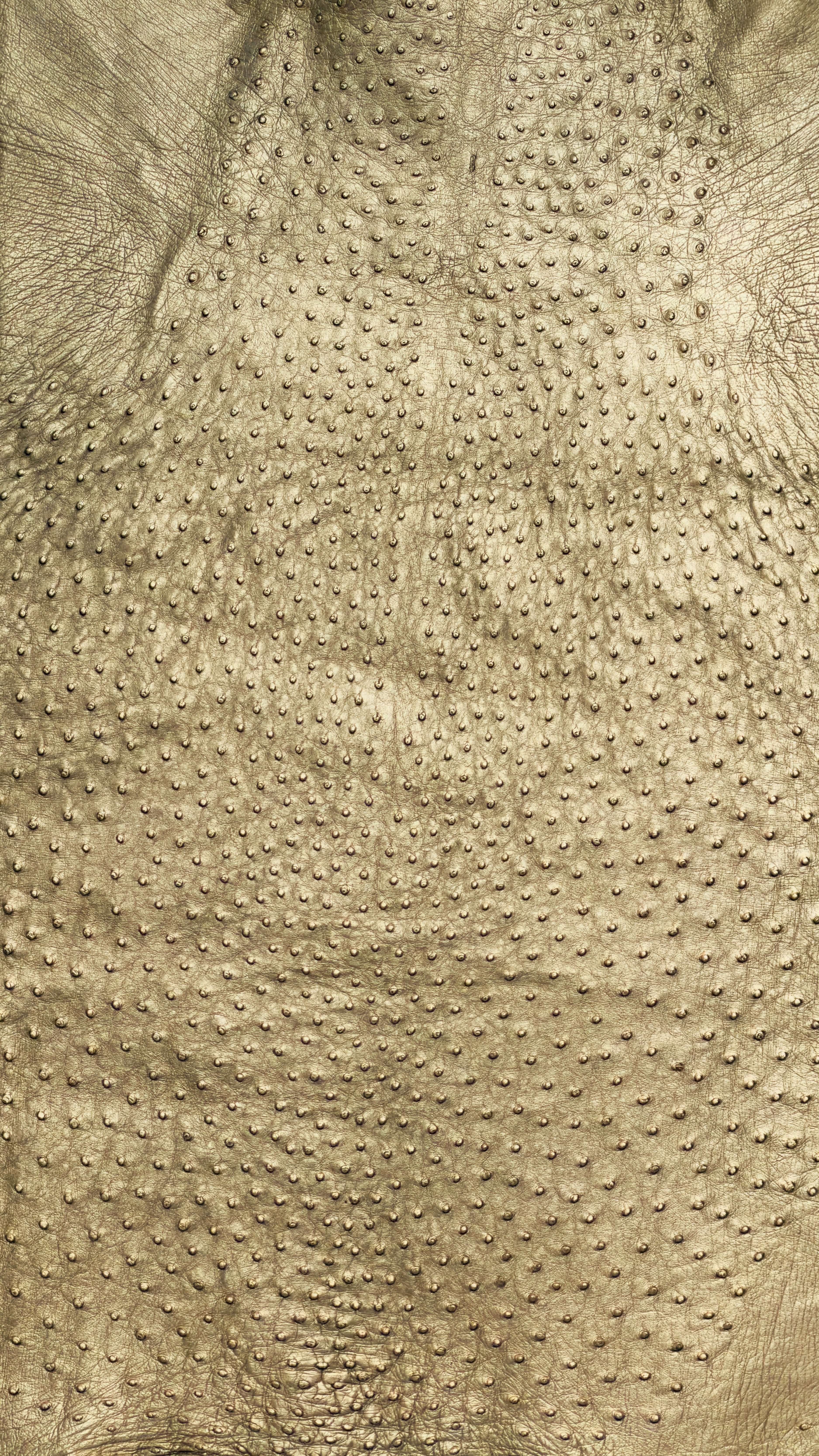 Ostrich Leather Hide Platino Metallic Finish