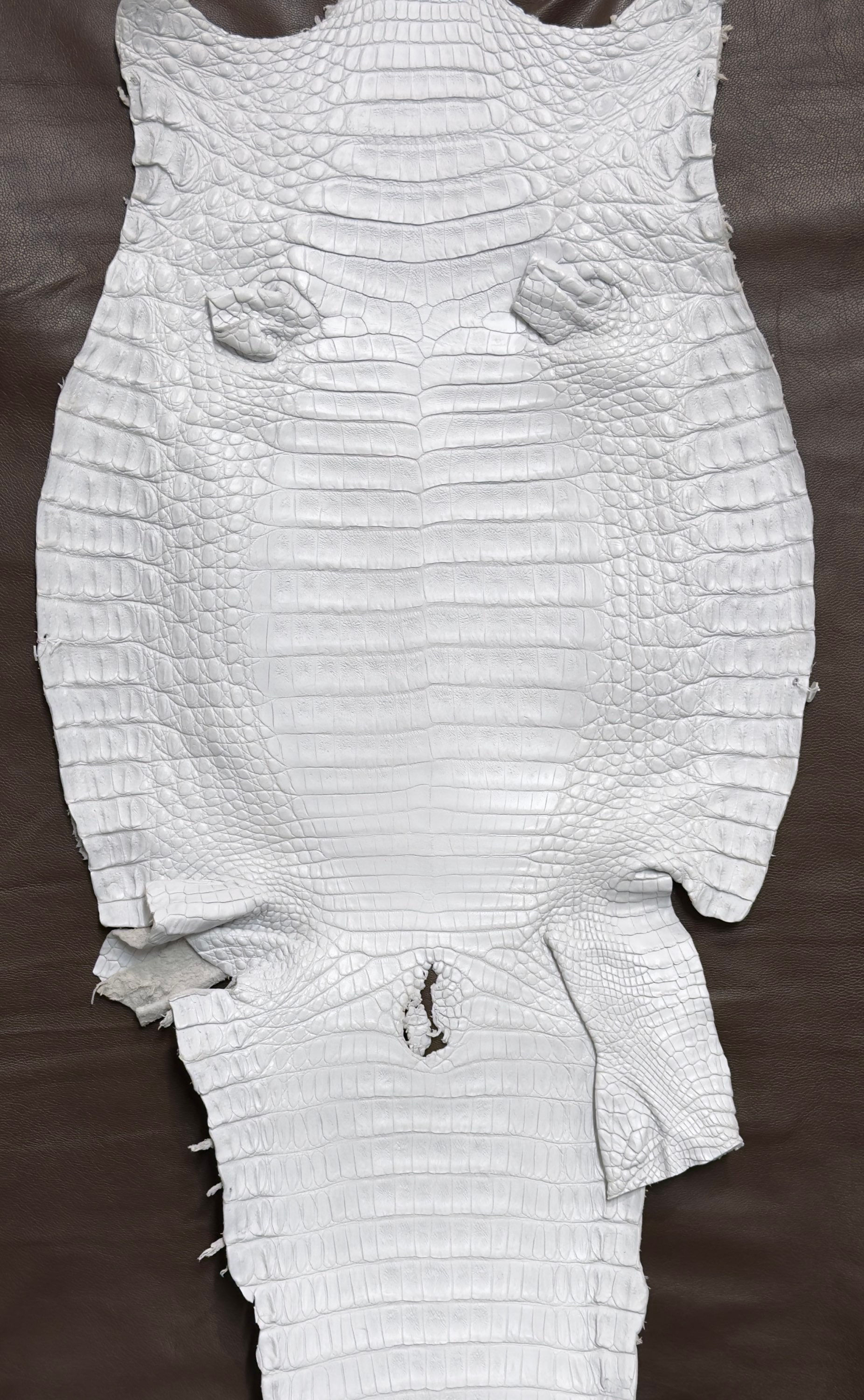 Caiman Skin Leather white color
