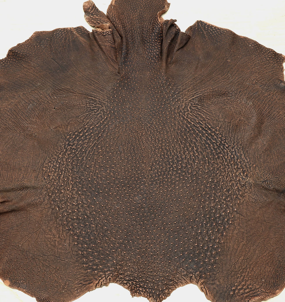 Ostrich Leathers | Ostrich Leathers By Ray