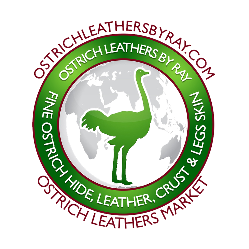 Thumbnail: 10 Ostrich Legs Skin Midnight Blue Color Grade B and C