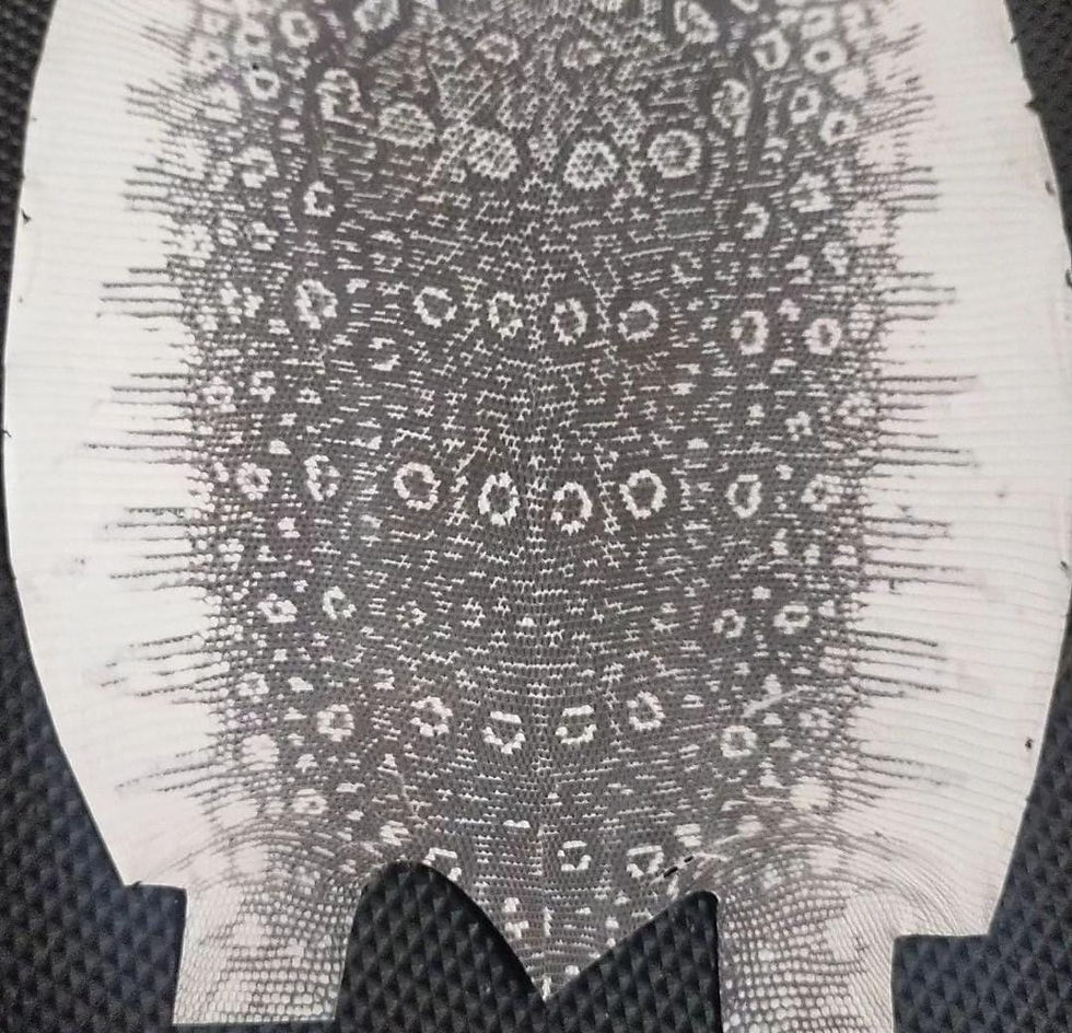 Lizard Skin Leather Natural Color