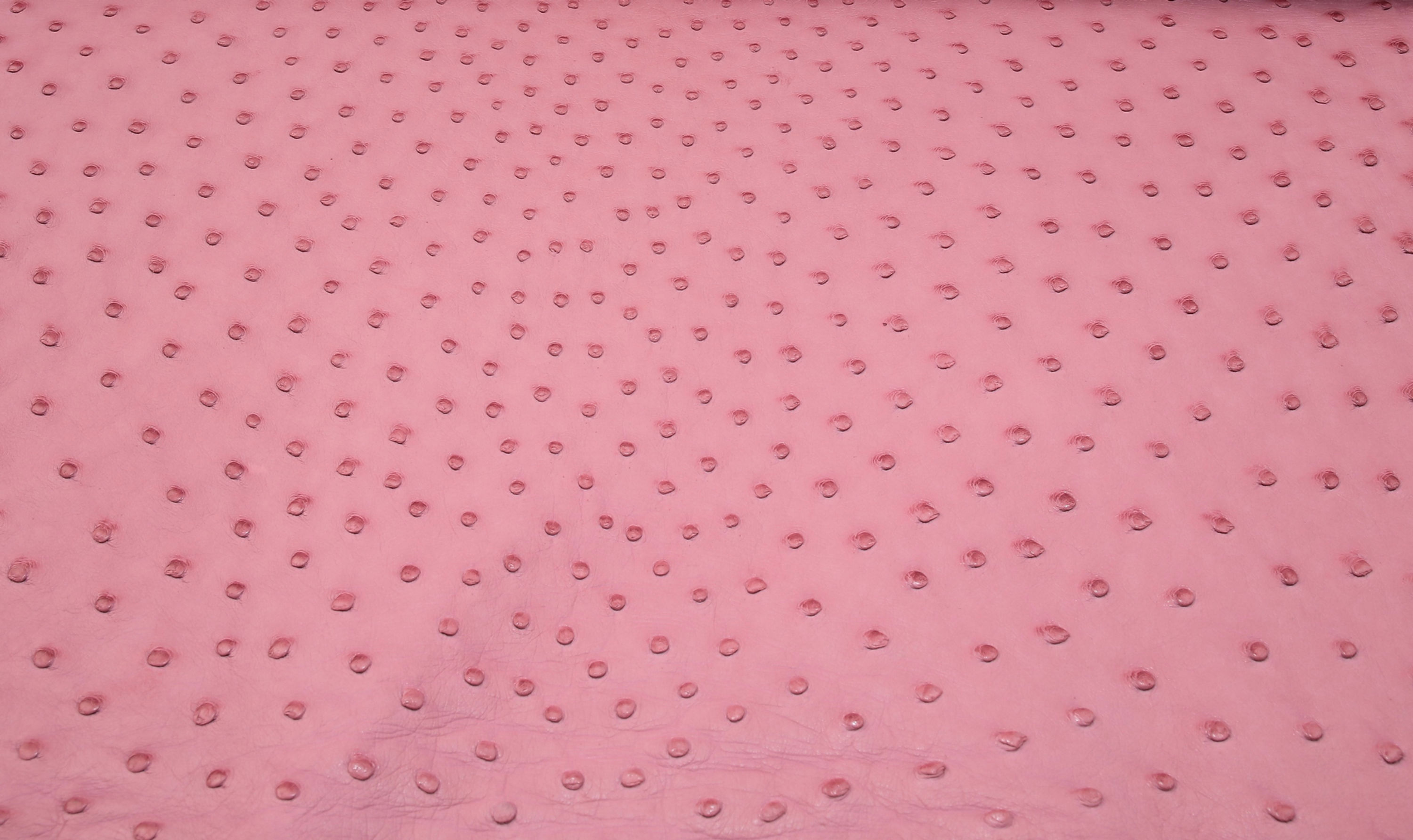 Ostrich Leather Hide Indian Pink Color SF