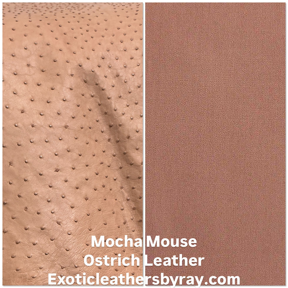 Miniatura: Ostrich skin Leather Mocha Mousse