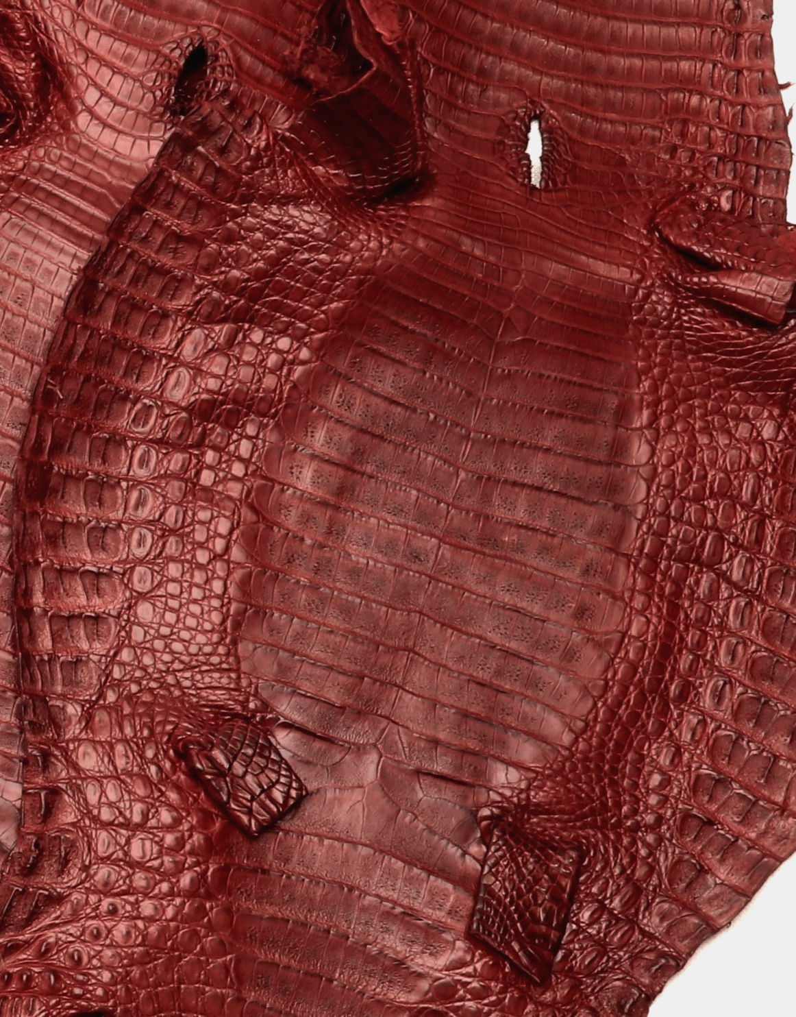 Caiman Skin Leather Dark Red Color (100% Genuine skin)
