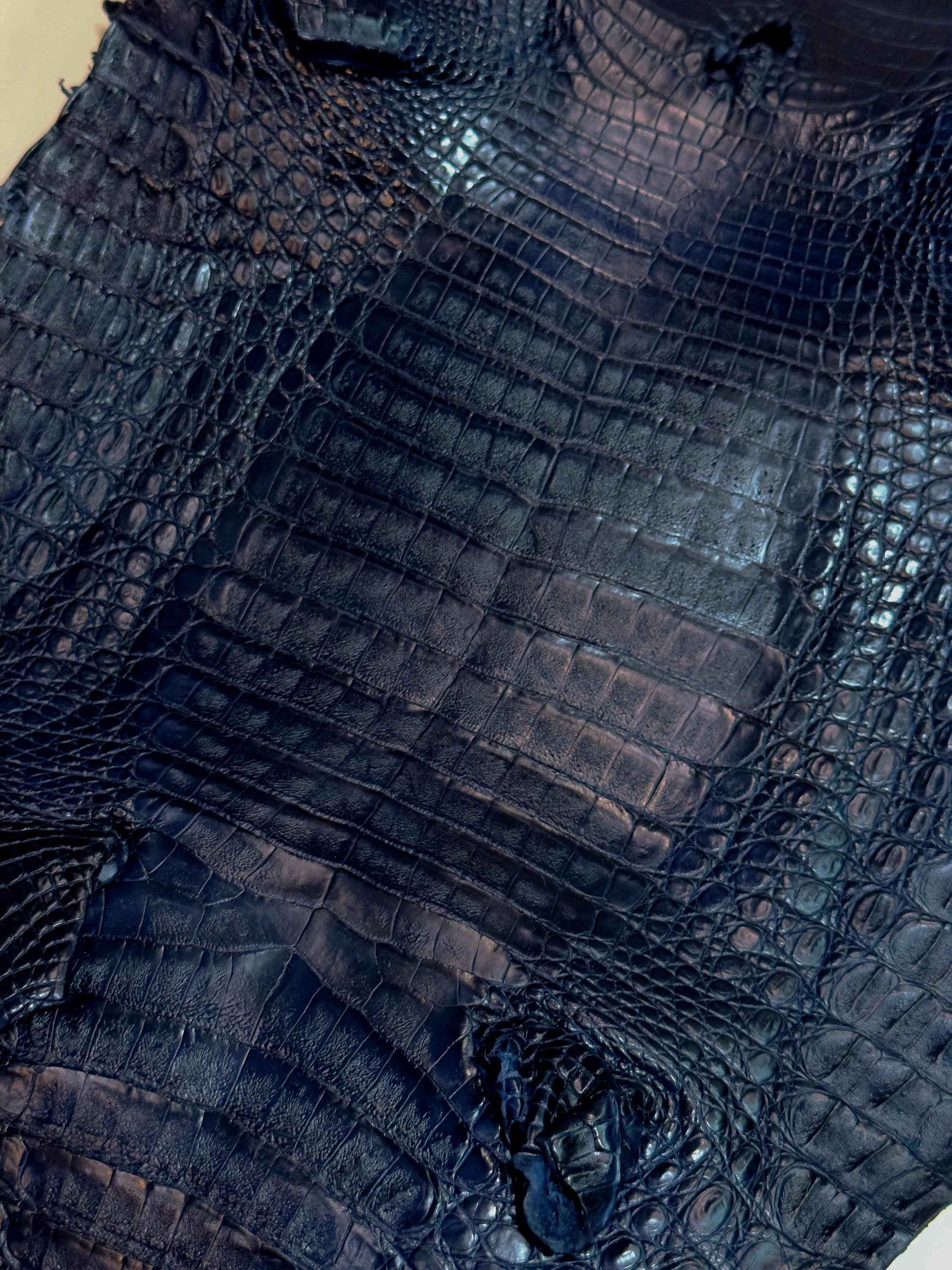 Caiman Skin Leather Navy Color 