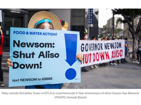 Incompetent, Corrupt, or Impotent: How Public Agencies Mishandled the Aliso Canyon Disaster: Pt 11