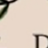 ballandbloom logo.png