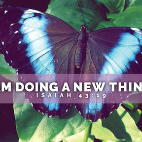 Photo of purple and blue butterfly on green leaf with text I Am Doing A New Thing! - Isaiah 43:19.