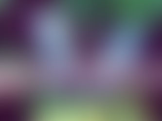 Photo of purple and blue butterfly on green leaf with text I Am Doing A New Thing! - Isaiah 43:19.