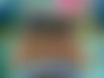 True North logo for vacation bible school - Trusting Jesus in the Wild World includes a graphic of a bear and wilderness mountain scenery