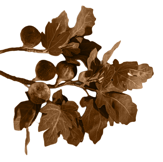 4eef085f6d84b07d7290255a59f6c275.png