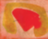 hibrido-05