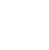 estrella mapuche.png