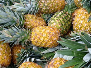 Piña y Costa Rica