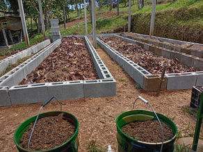 Bio Soluciones 