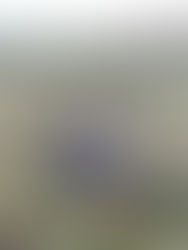 Sobre Yoga - A Transformação