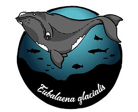 right-whale-design.jpg
